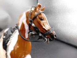 horse paint saddle